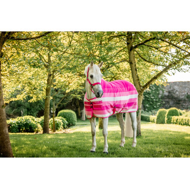Cabresto e guia Horseware Newmarket Rose Witney Rosa Cabresto e guia Horseware Newmarket Rose Witney Rosa