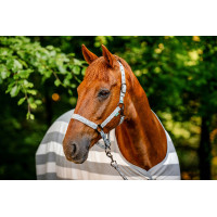 Cabresto e guia Horseware Newmarket Carvão de madeira witney Cinzento