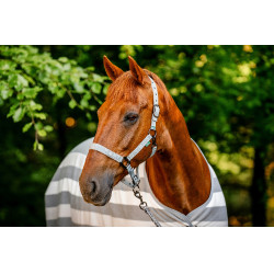 Cabresto e guia Horseware Newmarket Carvão de madeira witney Cinzento