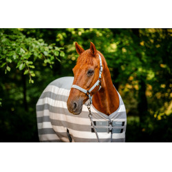 Cabresto e guia Horseware Newmarket Carvão de madeira witney Cinzento