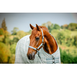 Cabresto e guia Horseware Newmarket Carvão de madeira witney Cinzento