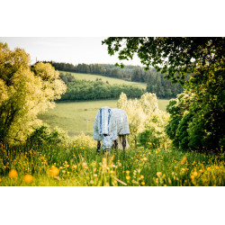 Máscaras anti-moscas Horseware Newmarket Marine witney Azul-marinho Máscaras anti-moscas Horseware Newmarket Marine witney Azul-marinho