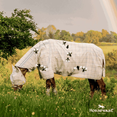 Máscaras anti-moscas Horseware Newmarket Carvão de madeira witney Cinzento Máscaras anti-moscas Horseware Newmarket Carvão de madeira witney Cinzento