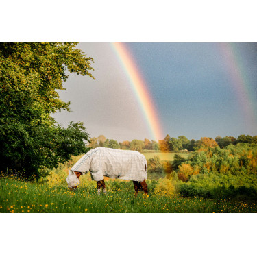 Máscaras anti-moscas Horseware Newmarket Carvão de madeira witney Cinzento Máscaras anti-moscas Horseware Newmarket Carvão de madeira witney Cinzento