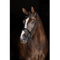 Muserola Covalliero Laca preta