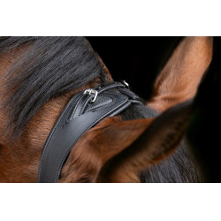Bridão anatômico Covalliero Preto