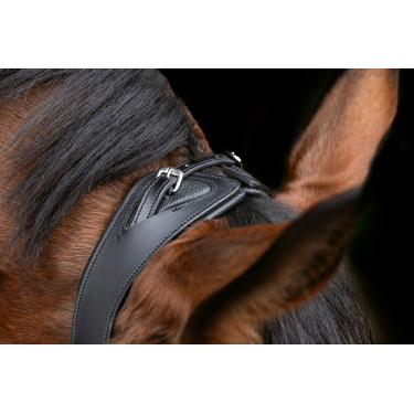 Bridão anatômico Covalliero Preto