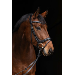 Bridão anatômico Covalliero Preto