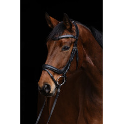 Bridão anatômico Covalliero Preto
