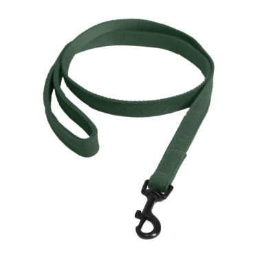 Deixa Kentucky para cão Lagarto Verde-oliva Deixa Kentucky para cão Lagarto Verde-oliva