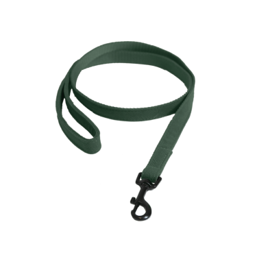 Deixa Kentucky para cão Lagarto Verde-oliva