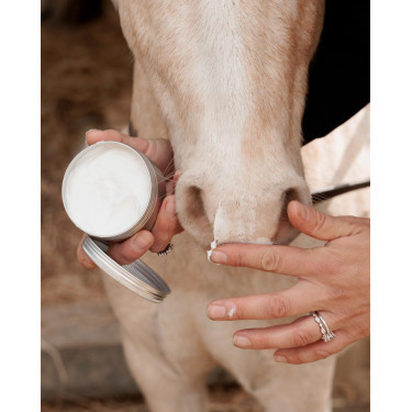 Protetor Solar Grooming Deluxe da Kentucky Protetor Solar Grooming Deluxe da Kentucky