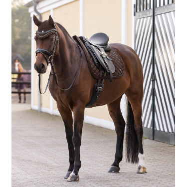 Touca anti-moscas Nepal Waldhausen Castanho