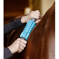 Rolos de massagem Waldhausen Health + Care Azul Rolos de massagem Waldhausen Health + Care Azul