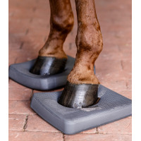 Palmilhas Waldhausen Health + Care Balance Cinzento