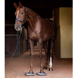 Palmilhas Waldhausen Health + Care Balance Cinzento