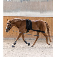 Bandagem corporal Waldhausen para garupa Preto Bandagem corporal Waldhausen para garupa Preto