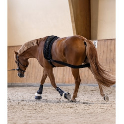 Bandagem corporal Waldhausen para garupa Preto Bandagem corporal Waldhausen para garupa Preto