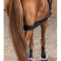 Bandagem corporal Waldhausen para garupa Preto Bandagem corporal Waldhausen para garupa Preto