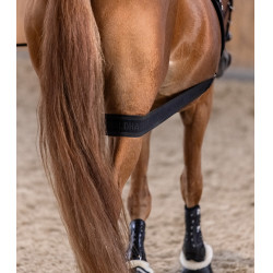 Bandagem corporal Waldhausen para garupa Preto Bandagem corporal Waldhausen para garupa Preto