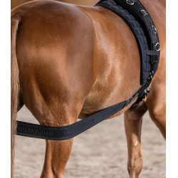 Bandagem corporal Waldhausen para garupa Preto Bandagem corporal Waldhausen para garupa Preto