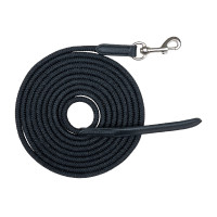 Linha de trabalho no solo Waldhausen leve mosquetão Preto