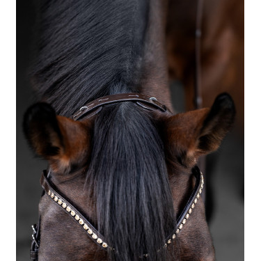 Bridão Waldhausen X-Line Relaxation focinheira anatômica Castanho