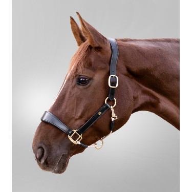 Caveção de couro Waldhausen S-Line Royal Preto