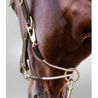 Caveção de couro Waldhausen S-Line Royal Castanho