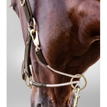 Caveção de couro Waldhausen S-Line Royal Castanho