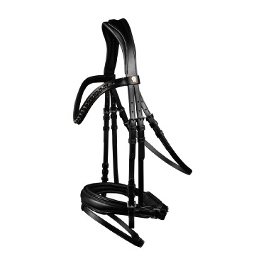 Bridão envernizado Waldhausen S-Line Blackshine narigueira combinada pull back Preto