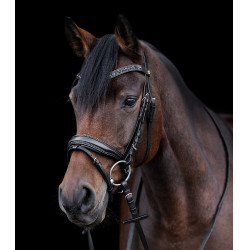 Bridão envernizado Waldhausen S-Line Blackshine narigueira combinada pull back Preto Bridão envernizado Waldhausen S-Line Blackshine narigueira combinada pull back Preto