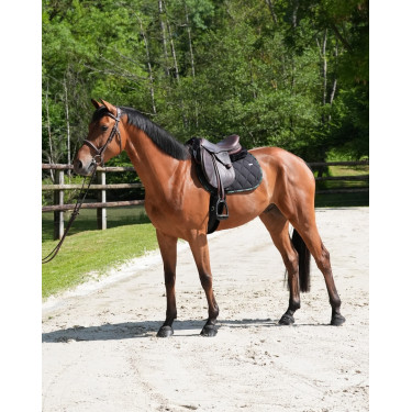 Tapete GEM Love Preto / verde