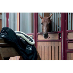 Cinta de adestramento Web LeMieux Preto