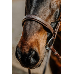 Bridon Norton Hunter confortável Castanho
