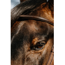 Bridon Norton Hunter confortável Castanho