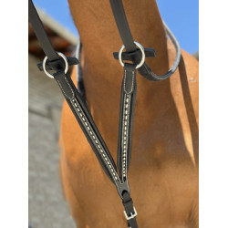 Flecha de martingale Pénélope Ponto sela