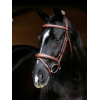 Bridão combinado LeMieux Competition Castanho