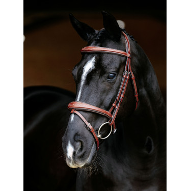 Bridão combinado LeMieux Competition Castanho