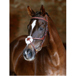 Bridon LeMieux Grackle Castanho