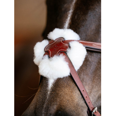 Bridon LeMieux Grackle Castanho