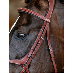 Bridon LeMieux Grackle Castanho