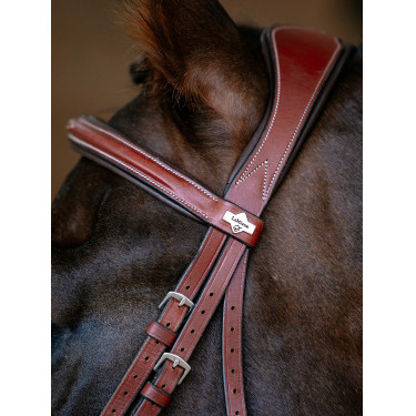 Bridon LeMieux Grackle Castanho