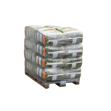EQUIFORRAGEM