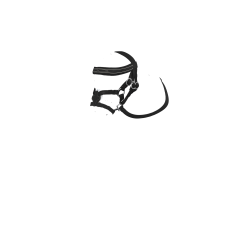 Bridão com focinheira cruzada LeMieux Toy Pony Preto Bridão com focinheira cruzada LeMieux Toy Pony Preto