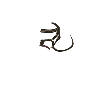 Bridão com focinheira cruzada LeMieux Toy Pony Castanho
