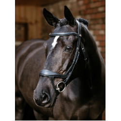 Bridão de focinheira fendida Arika LeMieux Preto