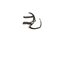 Bridão Hunter LeMieux Pônei de Brinquedo Castanho