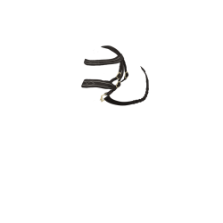 Bridão Hunter LeMieux Pônei de Brinquedo Castanho