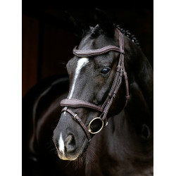 Bridon LeMieux Flash Contour Kudos Castanho Bridon LeMieux Flash Contour Kudos Castanho
